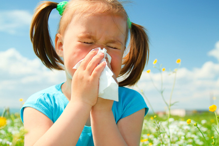 Médicament contre les allergies (antihistaminique)